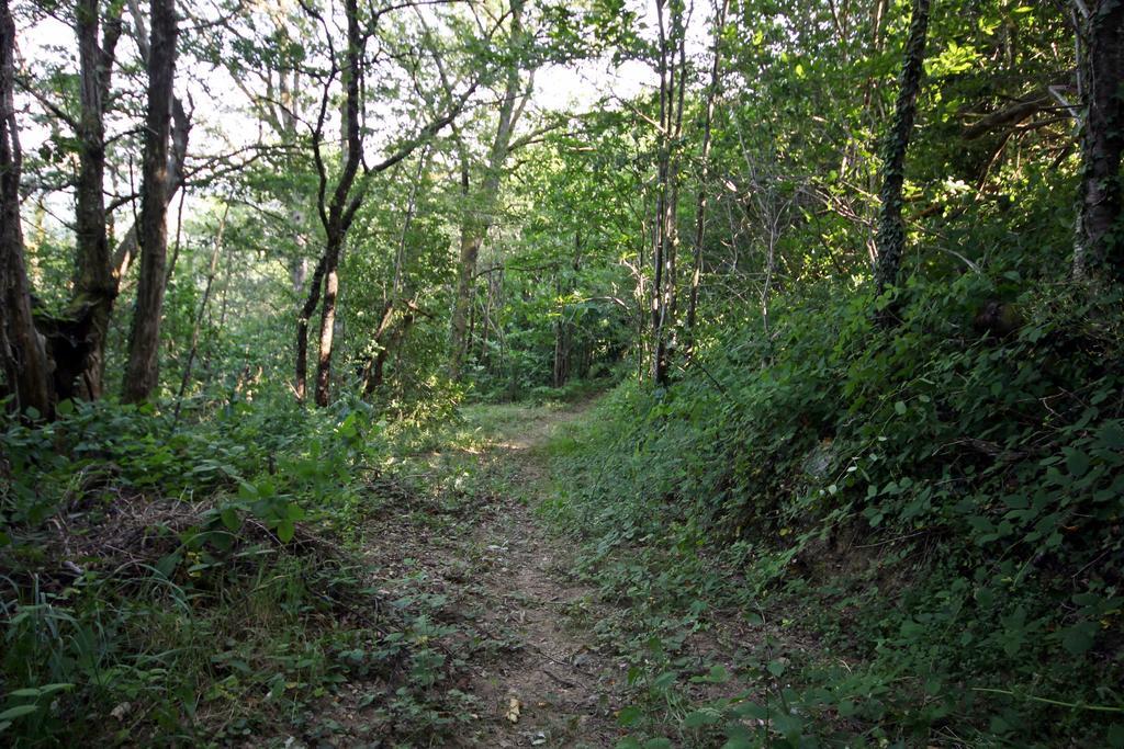 Camping Domaine Vallee Du Tarn Sn Saint-Cirgue Экстерьер фото